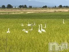 新潟デリヘル五十路マダム新潟店(カサブランカグループ)(イソジマダムニイガタテン) 真田成美(56)の11月13日写メブログ「15日に♪」