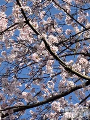 新潟デリヘル 五十路マダム新潟店(カサブランカグループ)(イソジマダムニイガタテン) 真田成美(56)の4月25日写メブログ「27日に♪」