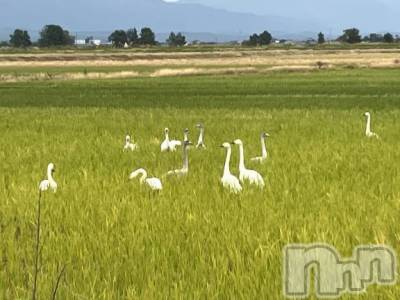 新潟デリヘル 五十路マダム新潟店(カサブランカグループ)(イソジマダムニイガタテン) 真田成美(56)の11月13日写メブログ「15日に♪」