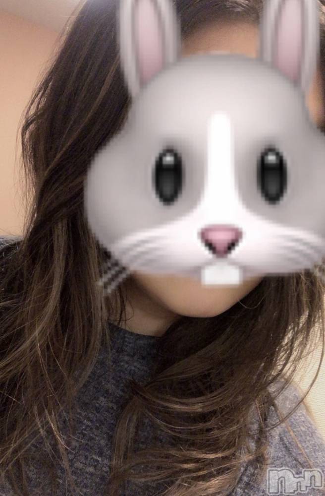 㡦ȯĥꥢ󥺥ƺʿ Ź   (祯ӡ˥奦ƥ) 쥤SPбġۤ1017̥֥֤ʻ֤🐰🌙