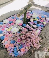 新潟メンズエステ妻色兼美 新潟中央店   (サイショクケンビ　ニイガタチュウオウテン) レイ【SP対応可】(34)の4月8日写メブログ「春🌸🕊」