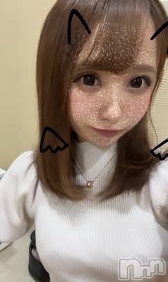 ȯˤ륳ѥ˥󥯥֡SARAH --()פΥ㥹ȡ֥֥ꥨפξҲ