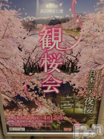 長岡人妻デリヘル奥様特急 長岡店(オクサマトッキュウナガオカテン) みき(37)の2月12日写メブログ「１０日金曜日のまとめてのお礼」