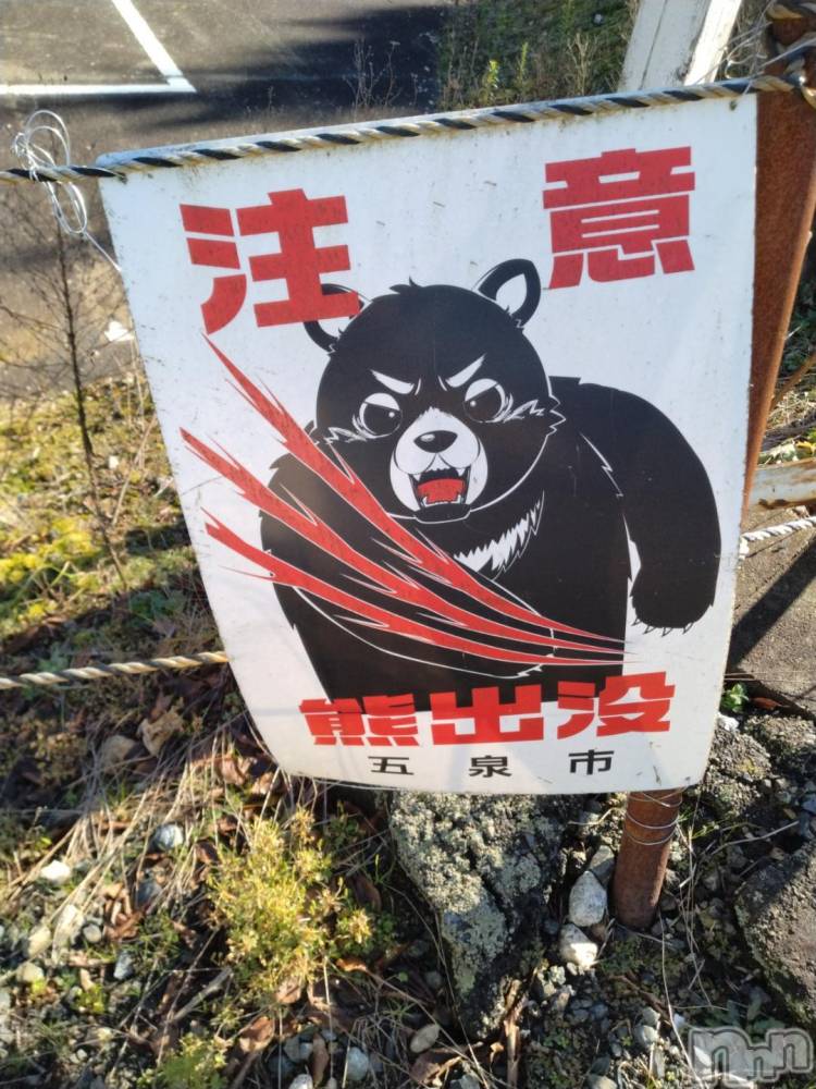 長岡人妻デリヘル奥様特急 長岡店(オクサマトッキュウナガオカテン) みき(37)の12月2日写メブログ「次回17時３０分過ぎ～空きます🩷」