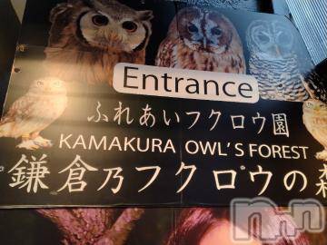 長岡人妻デリヘル奥様特急 長岡店(オクサマトッキュウナガオカテン)みき(37)の2023年4月10日写メブログ「本日予約ありがとうございますm(__)m」