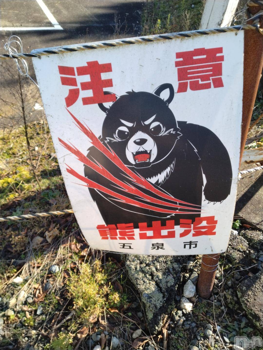 長岡人妻デリヘル奥様特急 長岡店(オクサマトッキュウナガオカテン)みき(37)の2024年12月2日写メブログ「次回17時３０分過ぎ～空きます🩷」