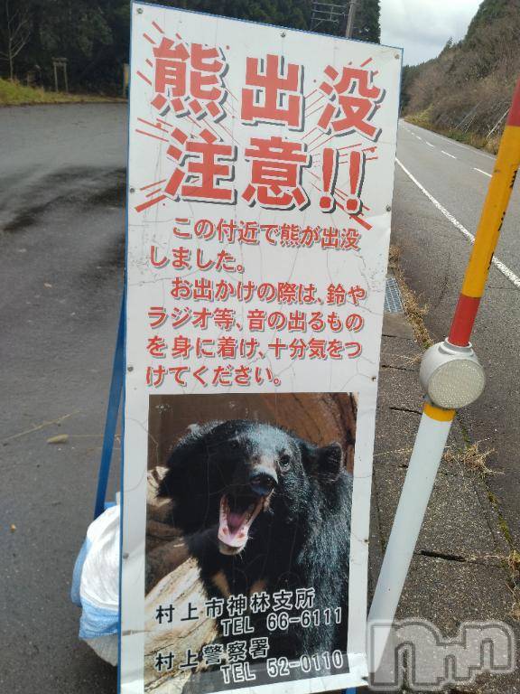 長岡デリヘル奥様特急 長岡店(オクサマトッキュウナガオカテン)みき(37)の2025年12月23日写メブログ「[お題]from:columbooさん」