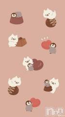 長岡デリヘル奥様特急 長岡店(オクサマトッキュウナガオカテン) みき(37)の2月28日写メブログ「24日28日の出勤のまとめてのお礼状(_ _)」