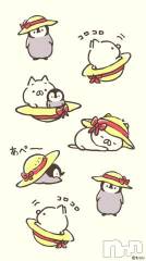 長岡デリヘル奥様特急 長岡店(オクサマトッキュウナガオカテン) みき(37)の8月2日写メブログ「出勤しました(_ _)」