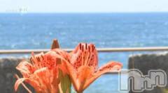 長岡デリヘル奥様特急 長岡店(オクサマトッキュウナガオカテン) みき(37)の8月28日写メブログ「9日(祝)25日水曜日のまとめてのお礼(_ _)」