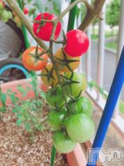 長岡デリヘル奥様特急 長岡店(オクサマトッキュウナガオカテン) みき(37)の11月30日写メブログ「11月29日月曜日のまとめてのお礼(_ _)」