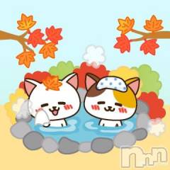 長岡デリヘル奥様特急 長岡店(オクサマトッキュウナガオカテン) みき(37)の12月9日写メブログ「出勤しました(_ _)」