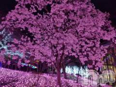 長岡デリヘル奥様特急 長岡店(オクサマトッキュウナガオカテン) みき(37)の4月9日写メブログ「６日木曜日のまとめてのお礼」