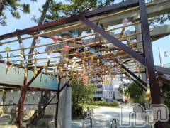 長岡デリヘル奥様特急 長岡店(オクサマトッキュウナガオカテン) みき(37)の6月14日写メブログ「この時間まで、ありがとうございましたm(__)m」