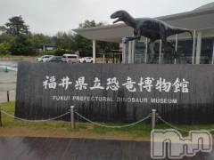 長岡デリヘル奥様特急 長岡店(オクサマトッキュウナガオカテン) みき(37)の7月9日写メブログ「[お題]from:メルカリさん」