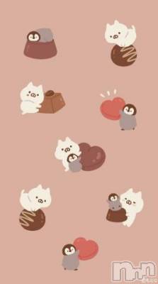 長岡デリヘル 奥様特急 長岡店(オクサマトッキュウナガオカテン) みき(37)の2月28日写メブログ「24日28日の出勤のまとめてのお礼状(_ _)」