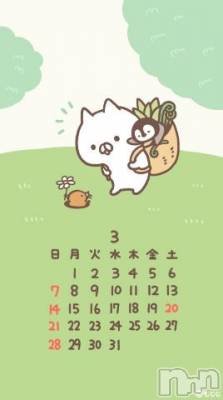 長岡デリヘル 奥様特急 長岡店(オクサマトッキュウナガオカテン) みき(37)の3月3日写メブログ「長岡店出勤しました(_ _)」