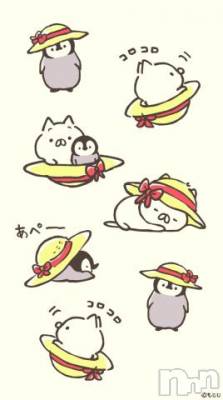 長岡デリヘル 奥様特急 長岡店(オクサマトッキュウナガオカテン) みき(37)の8月2日写メブログ「出勤しました(_ _)」