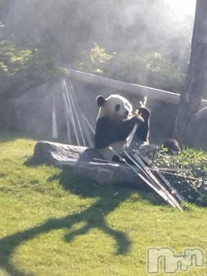 長岡デリヘル 奥様特急 長岡店(オクサマトッキュウナガオカテン) みき(37)の6月13日写メブログ「さっきまで、写真指名感謝します🙇」