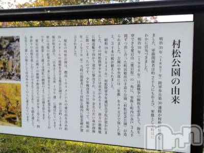 長岡デリヘル 奥様特急 長岡店(オクサマトッキュウナガオカテン) みき(37)の11月15日写メブログ「[お題]from:食べきれなかったさん」