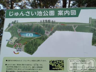 長岡デリヘル 奥様特急 長岡店(オクサマトッキュウナガオカテン) みき(37)の12月1日写メブログ「[お題]from:もう考えたくないさん」