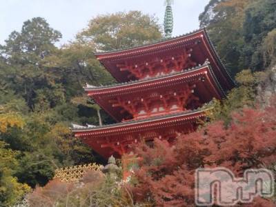 長岡デリヘル 奥様特急 長岡店(オクサマトッキュウナガオカテン) みき(37)の12月8日写メブログ「[お題]from:セクシーだよねさん」