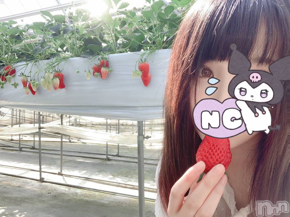 ��ˬ����Х��顦����֥���� �ץ���� ��ˬ(����� �ץ���� ����) ���� ���ޤ�1��10���̥�֥�����������~❕❕��