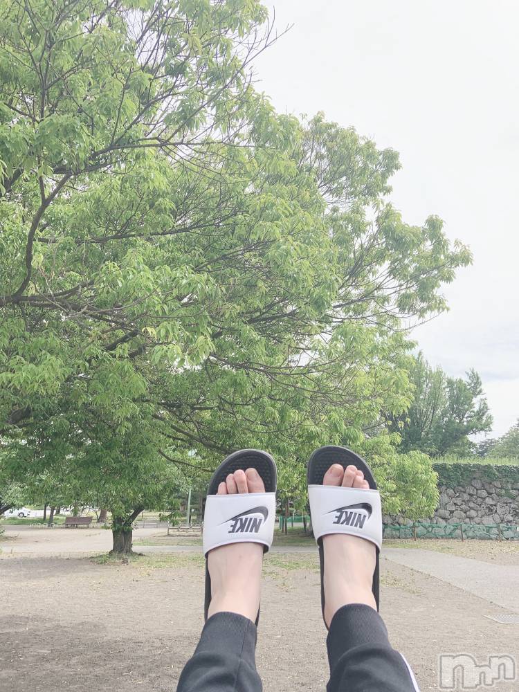 ��ˬ����Х��顦����֥���� �ץ���� ��ˬ(����� �ץ���� ����) ���� ���ޤ�2��6���̥�֥�����������~❕❕��