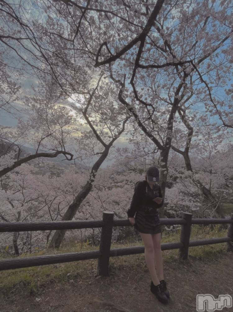 ��ˬ����Х��顦����֥���� �ץ���� ��ˬ(����� �ץ���� ����) ���� ���ޤ�5��7���̥�֥����ֶ�����~❕❕��