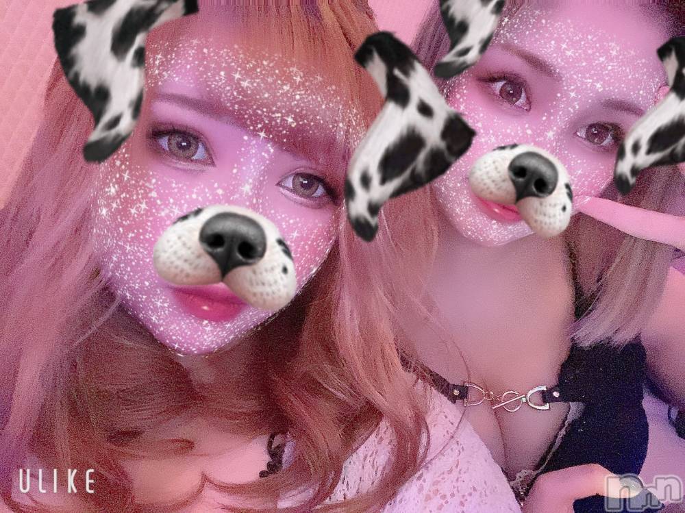 ��ˬ����Х��顦����֥���� �ץ���� ��ˬ(����� �ץ���� ����) ���� ���ޤ�5��8���̥�֥�����������~❕❕��