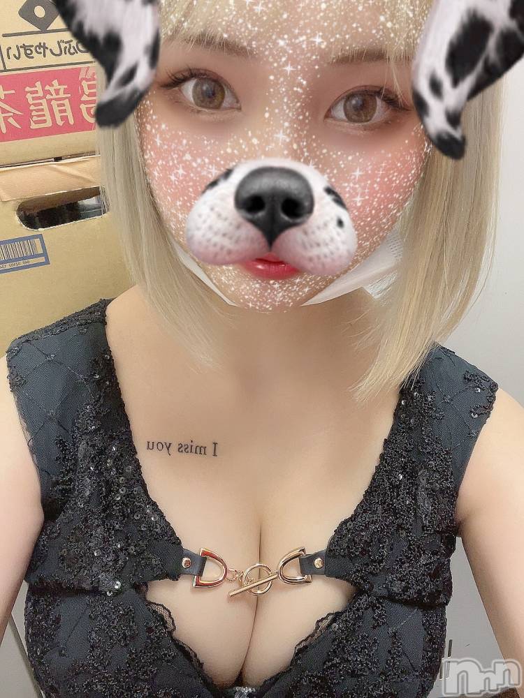 ��ˬ����Х��顦����֥���� �ץ���� ��ˬ(����� �ץ���� ����) ���� ���ޤ�6��12���̥�֥�����������~❕❕��