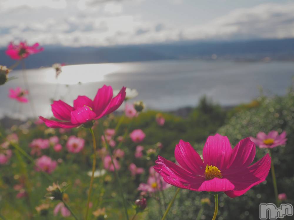 ��ˬ����Х��顦����֥���� �ץ���� ��ˬ(����� �ץ���� ����) ���� ���ޤ�10��18���̥�֥����ַ�����~❕❕��