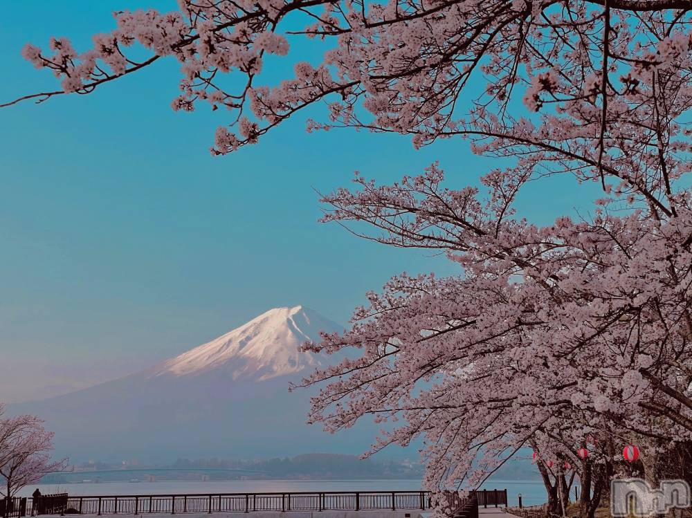 ��ˬ����Х��顦����֥���� �ץ���� ��ˬ(����� �ץ���� ����) ���� ���ޤ�10��26���̥�֥����ֲ�����~❕❕��