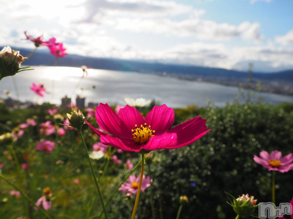 ��ˬ����Х��顦����֥���� �ץ���� ��ˬ(����� �ץ���� ����) ���� ���ޤ�11��27���̥�֥�����������~❕❕��