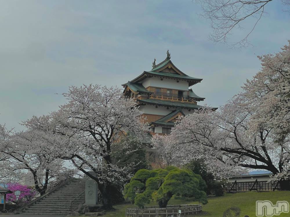 ��ˬ����Х��顦����֥���� �ץ���� ��ˬ(����� �ץ���� ����) ���� ���ޤ�4��14���̥�֥�����������~❕��