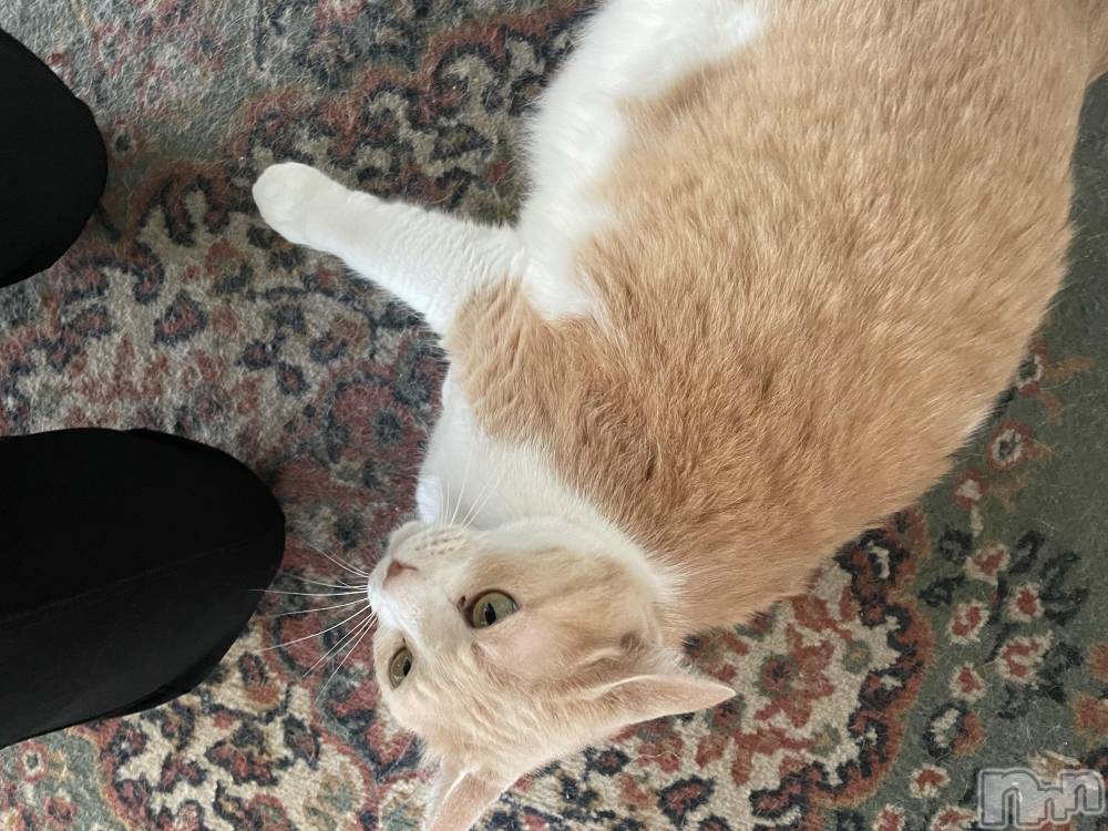 ��ˬ����Х��顦����֥���� �ץ���� ��ˬ(����� �ץ���� ����) ���� ���ޤ�6��29���̥�֥����ֿ�����~❕��