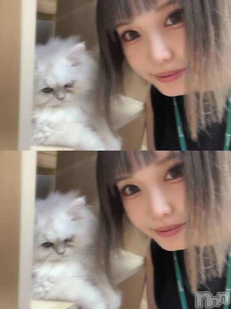 ��ˬ����Х��顦����֥���� �ץ���� ��ˬ(����� �ץ���� ����) ���� ���ޤ�7��29���̥�֥����ֶ�����~❕��