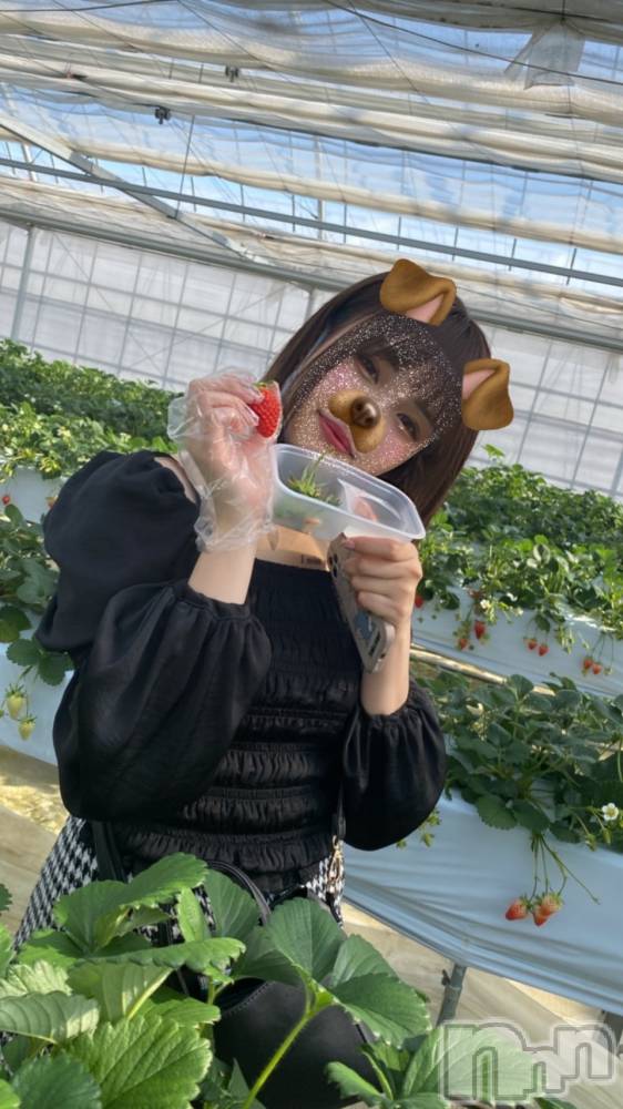 ��ˬ����Х��顦����֥���� �ץ���� ��ˬ(����� �ץ���� ����) ���� ���ޤ�10��15���̥�֥�����������~❕��