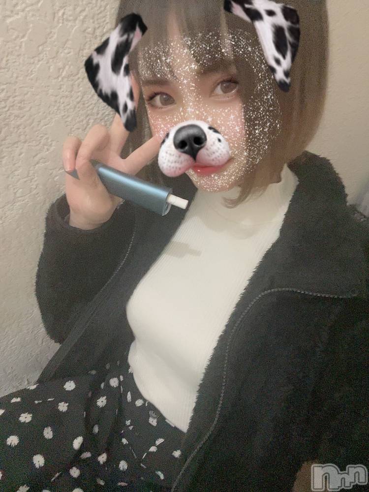 ��ˬ����Х��顦����֥���� �ץ���� ��ˬ(����� �ץ���� ����) ���� ���ޤ�12��14���̥�֥����ֿ�����~❕��