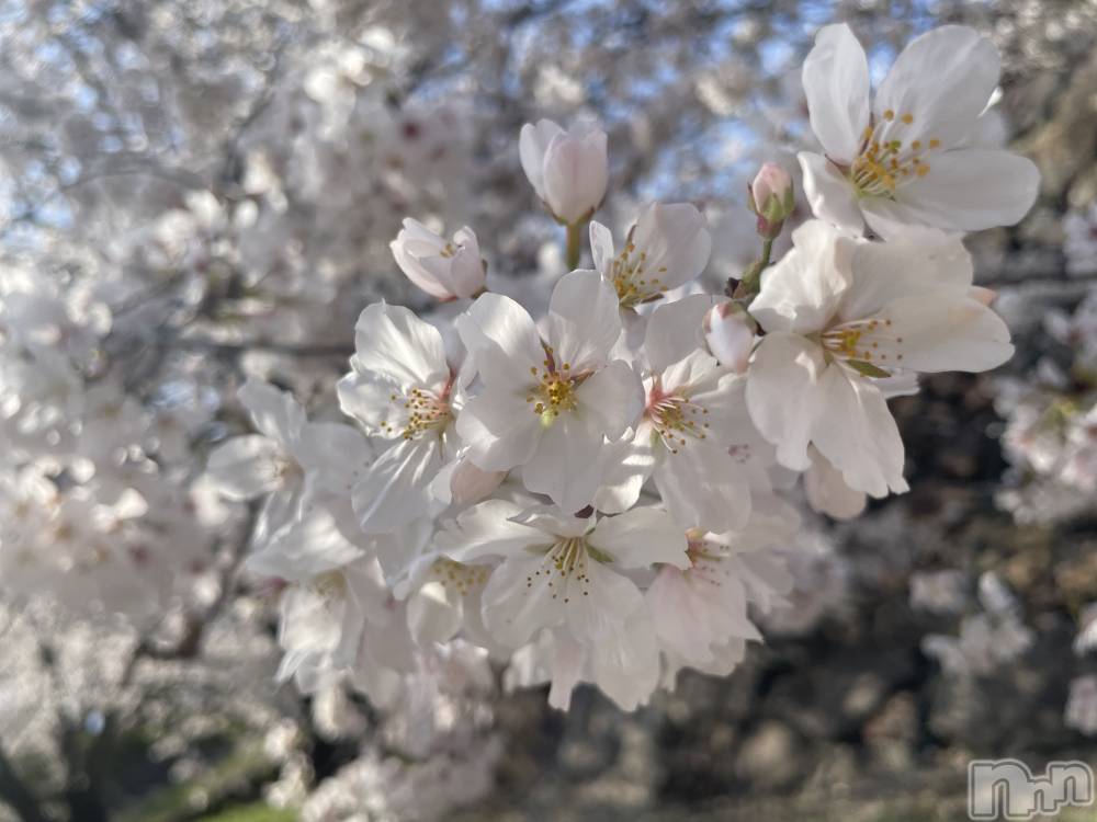 ��ˬ����Х��顦����֥���� �ץ���� ��ˬ(����� �ץ���� ����) ���� ���ޤ�3��30���̥�֥�����������~❕��