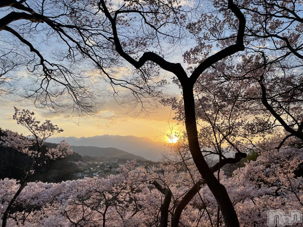 ��ˬ����Х��顦����֥���� �ץ���� ��ˬ(����� �ץ���� ����) ���� ���ޤ�4��8���̥�֥�����������~❕��