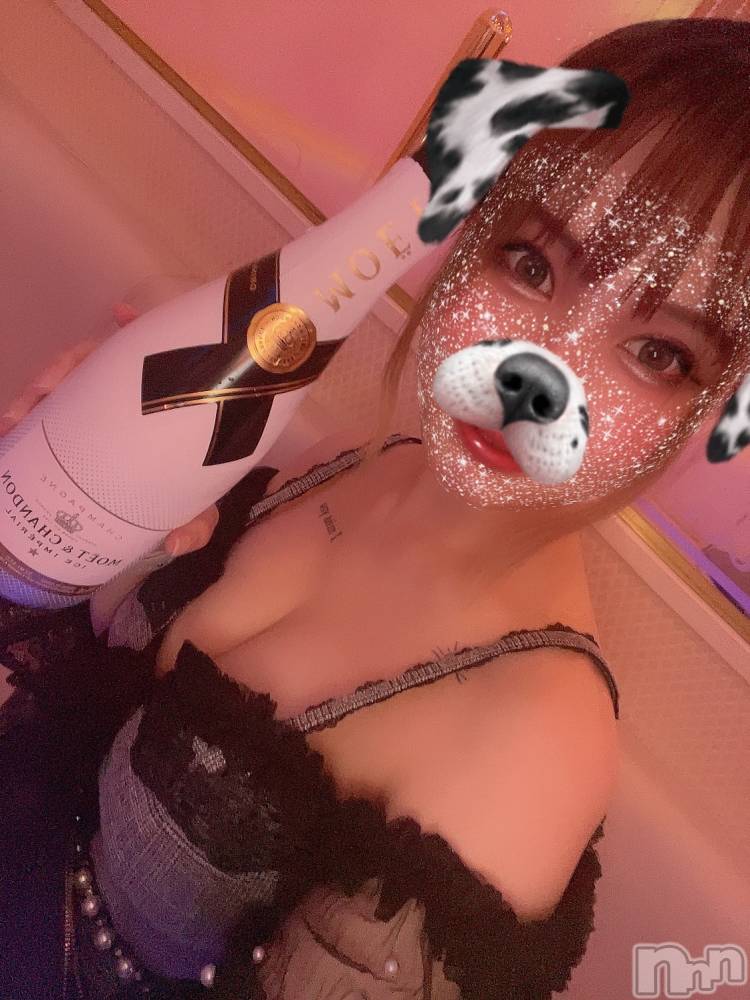 ��ˬ����Х��顦����֥���� �ץ���� ��ˬ(����� �ץ���� ����) ���� ���ޤ�7��14���̥�֥����ֶ�����~❕��