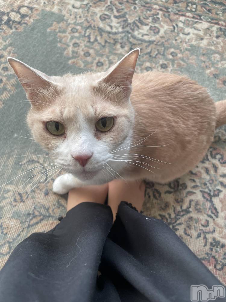 ��ˬ����Х��顦����֥���� �ץ���� ��ˬ(����� �ץ���� ����) ���� ���ޤ�12��27���̥�֥����ֿ�����~❕��