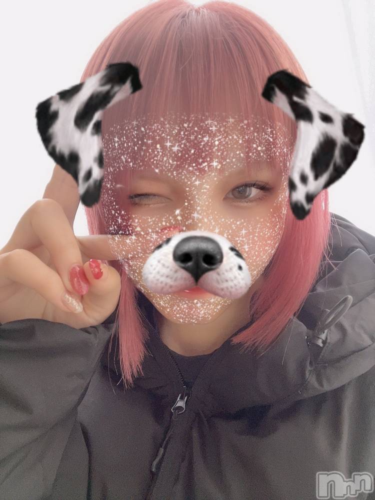 ��ˬ����Х��顦����֥���� �ץ���� ��ˬ(����� �ץ���� ����) ���� ���ޤ�1��13���̥�֥�����������~❕��