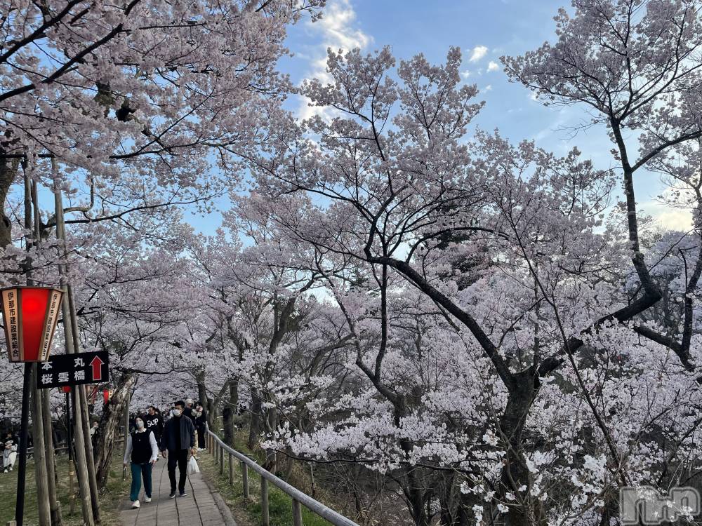 ��ˬ����Х��顦����֥���� �ץ���� ��ˬ(����� �ץ���� ����) ���� ���ޤ�4��6���̥�֥�����������~❕��