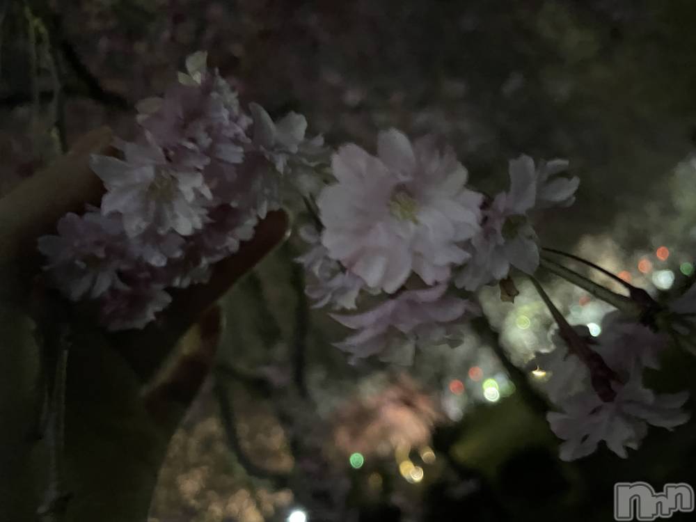 ��ˬ����Х��顦����֥���� �ץ���� ��ˬ(����� �ץ���� ����) ���� ���ޤ�4��9���̥�֥�����🌧��