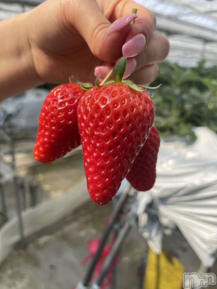 ��ˬ����Х��顦����֥���� �ץ���� ��ˬ(����� �ץ���� ����) ���� ���ޤ�4��20���̥�֥�������������