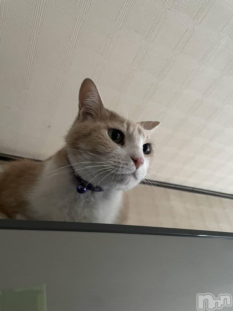 ��ˬ����Х��顦����֥���� �ץ���� ��ˬ(����� �ץ���� ����) ���� ���ޤ�6��19���̥�֥�����𝙒𝙚𝙙𝙣𝙚𝙨𝙙𝙖𝙮��