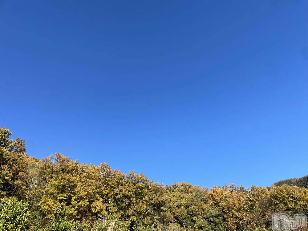 ��ˬ����Х��顦����֥���� �ץ���� ��ˬ(����� �ץ���� ����) ���� ���ޤ�12��2���̥�֥�������ŷ~❕��