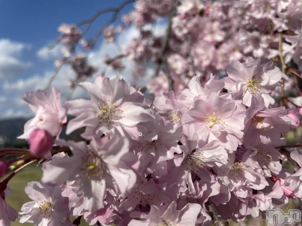 ��ˬ����Х��顦����֥���� �ץ���� ��ˬ(����� �ץ���� ����) ���� ���ޤ�3��29���̥�֥�����������~❕��